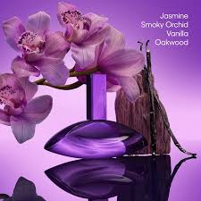 Calvin Klein Euphoria Bold Elixir Parfum Intense